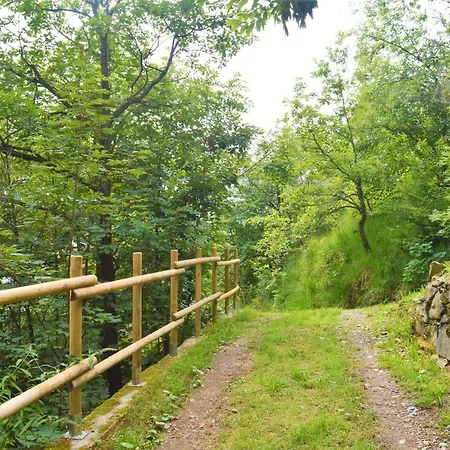 Gold Cave Relax Nel Bosco Pessinetto