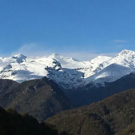Gold Cave Relax Nel Bosco