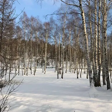 Σπίτι διακοπών Gold Cave Relax Nel Bosco Pessinetto