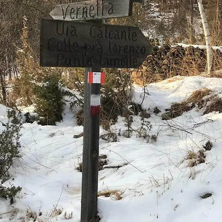 Gold Cave Relax Nel Bosco