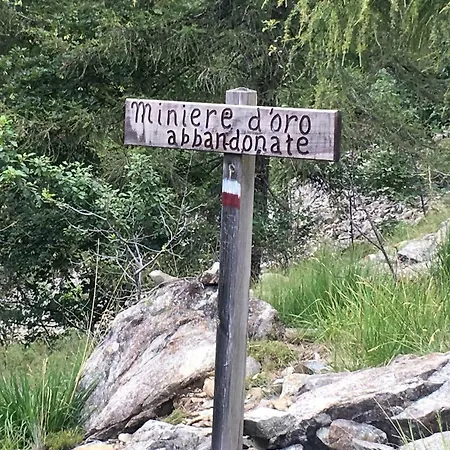 Gold Cave Relax Nel Bosco Pessinetto