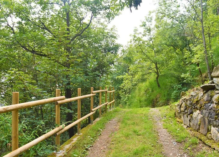 Gold Cave Relax Nel Bosco Pessinetto