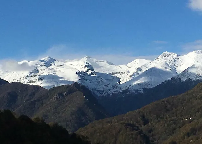 Gold Cave Relax Nel Bosco