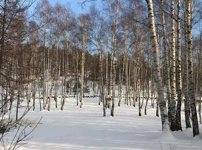 Сasa de vacaciones Gold Cave Relax Nel Bosco Pessinetto