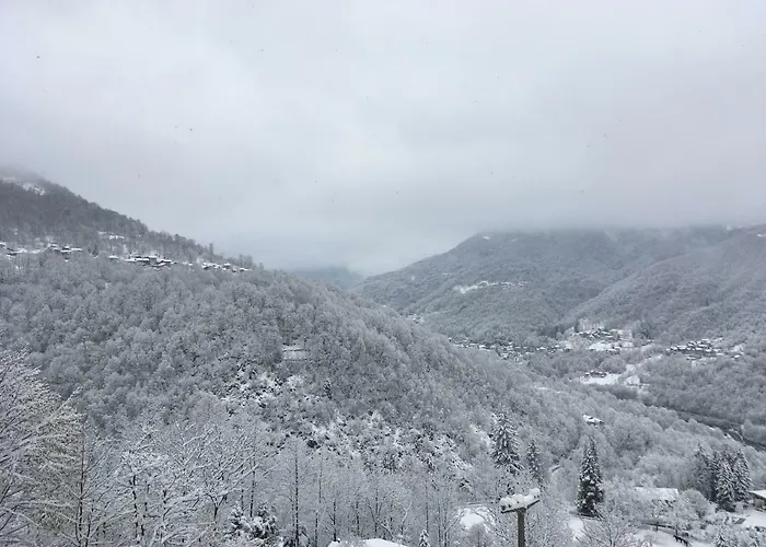 Gold Cave Relax Nel Bosco Сasa de vacaciones