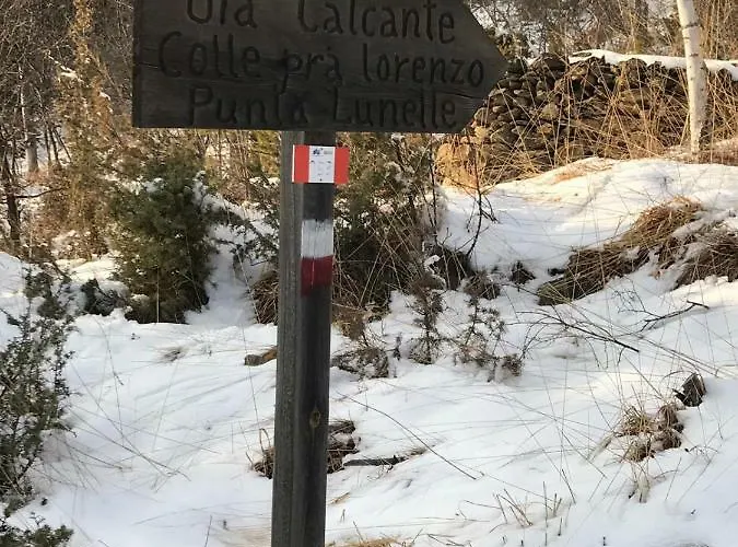 Gold Cave Relax Nel Bosco