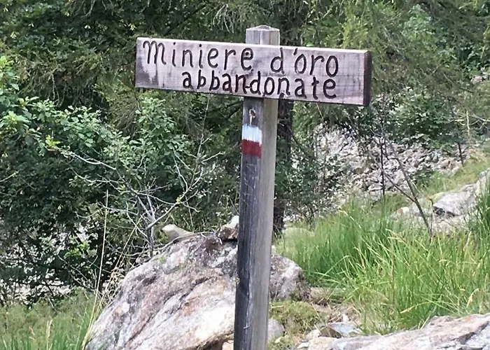 Gold Cave Relax Nel Bosco Pessinetto